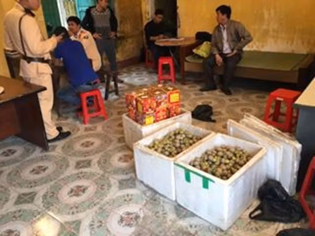 Số tang vật mà lực lượng chức năng thu giữ được. Nguồn ảnh: Phapluatplus.