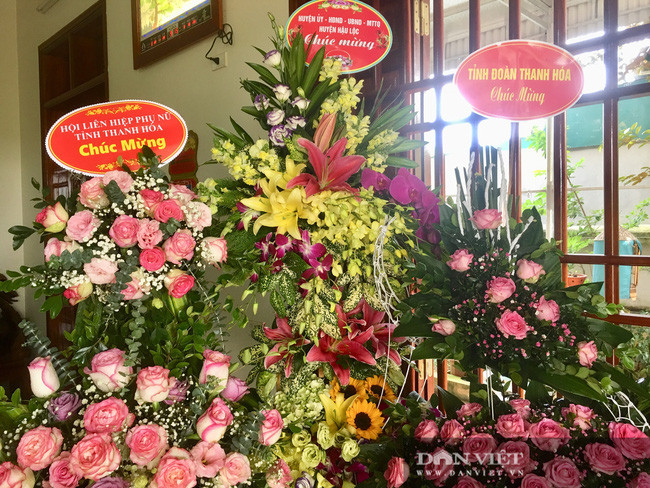 Hang xom tiet lo Hoa hau Do Thi Ha cay gat rat gioi-Hinh-3