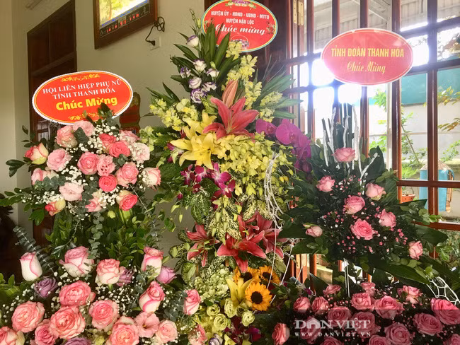 Hang xom tiet lo Hoa hau Do Thi Ha cay gat rat gioi-Hinh-3