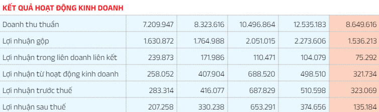 Doanh thu và lợi nhuận sụt giảm, KIDO vẫn đứng đầu ngành kem - Hình 2 Doanh thu va loi nhuan sut giam, KIDO van dung dau nganh kem-Hinh-2