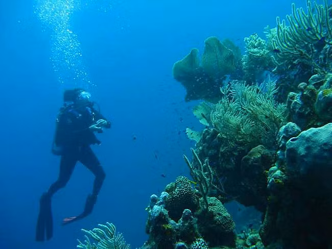 Ngoài ra, nơi đây là địa điểm hoàn hảo dành cho những người muốn khám phá rặng san hô Mesoamerican tuyệt đẹp lớn thứ nhì thế giới.