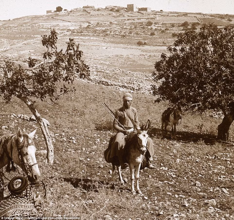 Cuộc sống dân dã của người dân ở ngọn đồi tại Ramah.