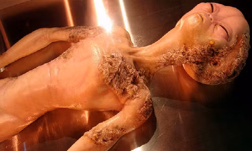 Lai co them bang chung nguoi ngoai hanh tinh da toi Trai Dat