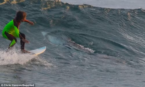 Rung minh khoanh khac be 10 tuoi doi mat ca map khong lo