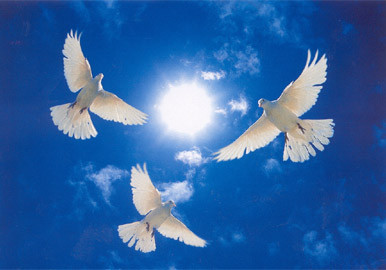 Thế giới có một khoảng thời gian hòa bình: Năm 2017 còn được Nostradamus tiên đoán rằng, dịch bệnh sẽ được dập tắt, thế giới trở nên "nhỏ bé" hơn và trong một thời gian dài, con người sẽ sống trong hòa bình. Mọi người có thể đi du lịch một cách an toàn bằng đường hàng không và đường biển. Tuy nhiên, sau đó, cuộc chiến sẽ lại bắt đầu một lần nữa.