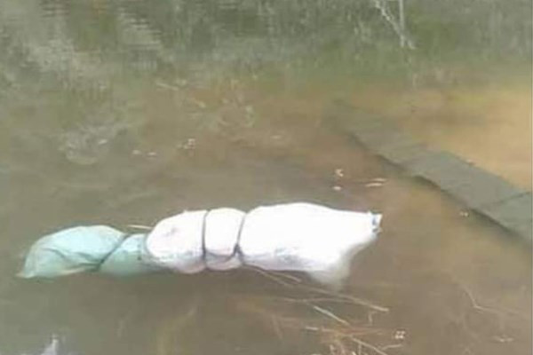 Hiện trường vụ án được phát hiện ban đầu tại hồ thủy lợi bản Muông, nơi nhiều năm qua bà con vẫn lấy nước tưới tiêu, sinh hoạt,… Chiều 23/1/2021, khi đi kéo vó về một người dân đã phát hiện chiếc bao tải dứa chứa một vật giống con lợn chết. Khi ngó vào xem mới phát hiện đó là một xác người. Ngay lập tức người dân bản Muông đã gọi điện trình báo với Công an xã Chiềng Cọ. Sau khi trình báo tới Công an thành phố, Công an xã đã tiến hành bảo vệ hiện trường. (Ảnh: TTXVN)