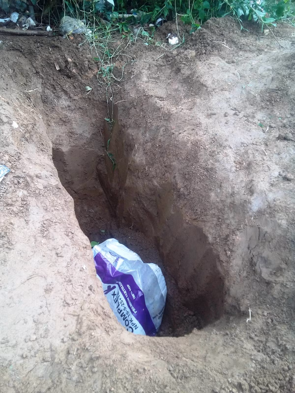 Cơ quan chức năng bước đầu nhận định, các nạn nhân đã bị kẻ sát nhân dùng vật cứng đập vào đầu, gây chấn thương sọ não và bị siết cổ cho đến chết. Ngoài hiện trường gây án chính là ngôi nhà số nhà 05/14, phố Doãn Khuê, tổ 17 phường Phú Khánh (TP Thái Bình), cơ quan chức năng sau đó còn phát hiện được hiện trường thứ 2 của vụ án mạng cách đó rất xa. Tại nghĩa trang xã Trung An, huyện Vũ Thư, tỉnh Thái Bình, cơ quan chức năng phát hiện có 3 hố sâu mới đào. Tại đây, cơ quan công an cũng thu được cuốc, xẻng giấu trong bụi cỏ dưới dải taluy. Bước đầu nhận định, có thể hung thủ đã đào những chiếc hố này để giấu xác nạn nhân sau khi gây án. Tuy nhiên vì lý do nào đó mà hung thủ có thể chưa kịp thực hiện ý định chôn xác phi tang. (Ảnh minh hoạ, nguồn ảnh Báo Người lao động)