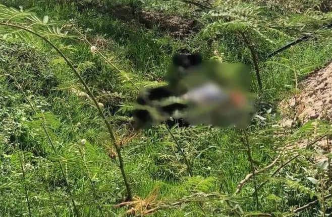 Binh Dinh: Nu giao vien tu vong va “thu tuyet menh” viet gi?-Hinh-2