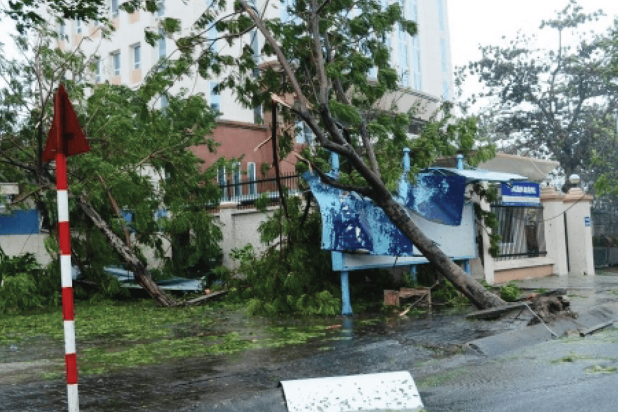 Tháng 9/2006, Bão số 6 (Bão Xangsane) đổ bộ vào các tỉnh miền Trung, tâm bão là Đà Nẵng, Quảng Nam, sức gió mạnh nhất 38m/giây (cấp 13) giật 44m/giây cấp 14 lên tới 160km/h, làm 72 người chết, bị thương 532 người và mất tích 4 người, thiệt hại về kinh tế khoảng 10.150 tỷ đồng. (Ảnh minh hoạ)