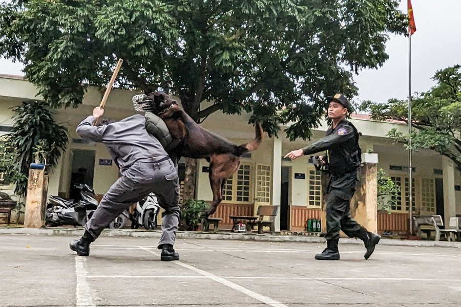 Chó nghiệp vụ có khả năng trấn áp tội phạm rất tốt, giúp ích cho công tác của lực lượng Cảnh sát cơ động