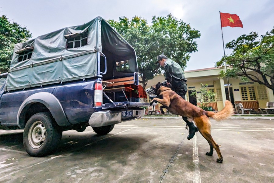 Chỉ huy đội cho biết, đồng chí Trung đoàn trưởng luôn quán triệt đơn vị cần đảm bảo công tác huấn luyện, sẵn sàng chiến đấu