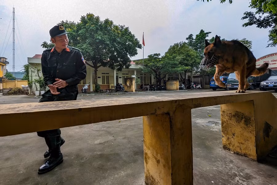 Với lực lượng Cảnh sát cơ động, chó nghiệp vụ đã trở thành một phần trong cuộc sống, cùng sinh hoạt, tập luyện và chiến đấu.