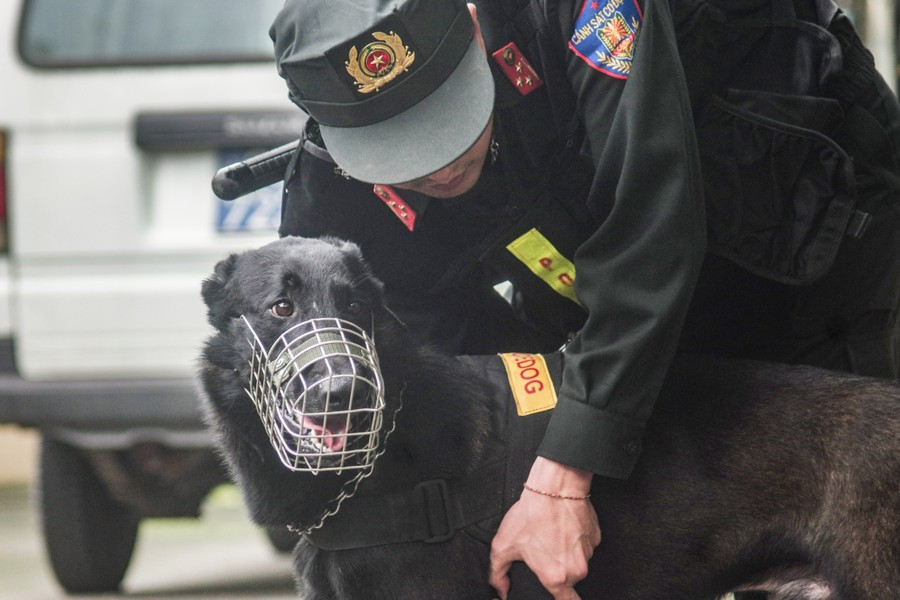 Chó nghiệp vụ cũng có yếm riêng, và được chăm sóc theo chế độ đặc biệt