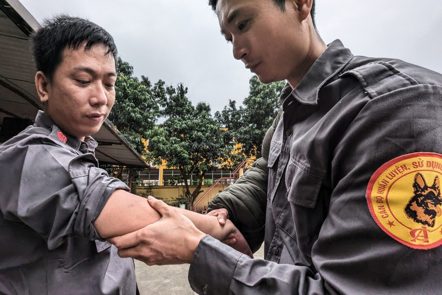 Dù có đồ bảo hộ nhưng chó nghiệp vụ với hàm răng sắc vẫn xuyên qua đồ bảo hộ. Những vết thâm tím trên cánh tay là chuyện bình thường với những cán bộ, chiến sỹ của đội