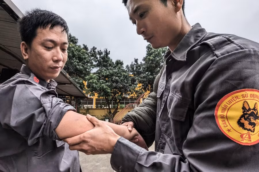 Dù có đồ bảo hộ nhưng chó nghiệp vụ với hàm răng sắc vẫn xuyên qua đồ bảo hộ. Những vết thâm tím trên cánh tay là chuyện bình thường với những cán bộ, chiến sỹ của đội