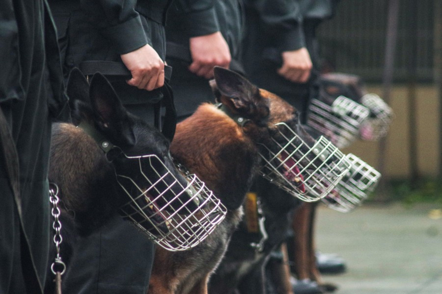 Đơn vị chiến đấu thầm lặng của Cảnh sát cơ động CATP Hà Nội