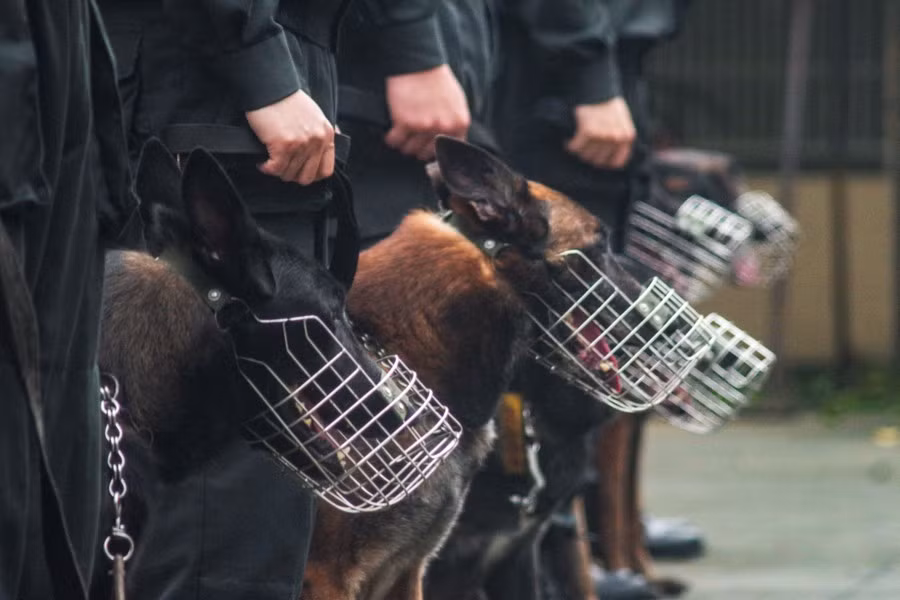 Đơn vị chiến đấu thầm lặng của Cảnh sát cơ động CATP Hà Nội