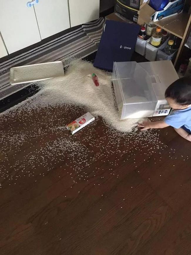 Có vẻ như ngồi trên đống gạo sẽ giống như ngồi trên bãi cát mịn chăng?