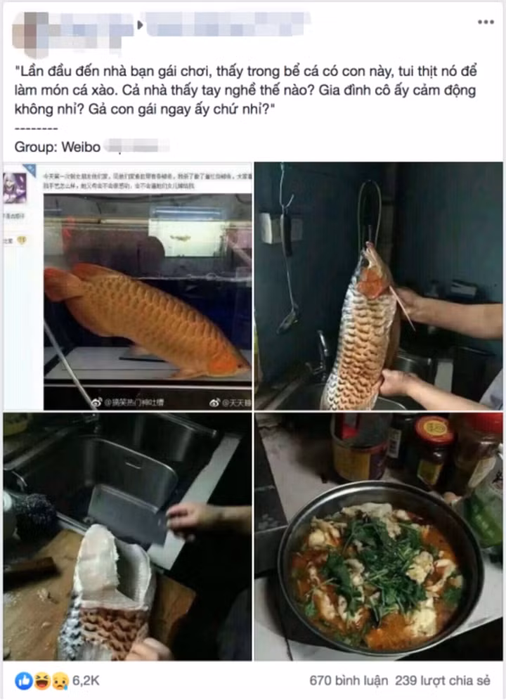 Lần đầu và đó cũng là lần cuối cùng anh chàng này được đến nhà bạn gái.