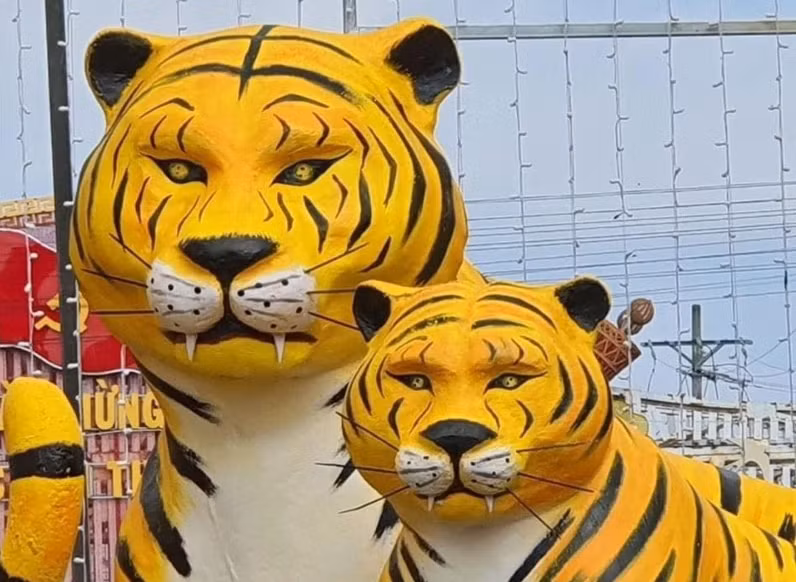 Trước đó, những bức tượng linh vật năm Nhâm Dần tại Bạc Liêu cũng khiến chúng trở nên nổi tiếng. Với ánh mắt phán xét này thì quả không hổ danh chúa sơn lâm.