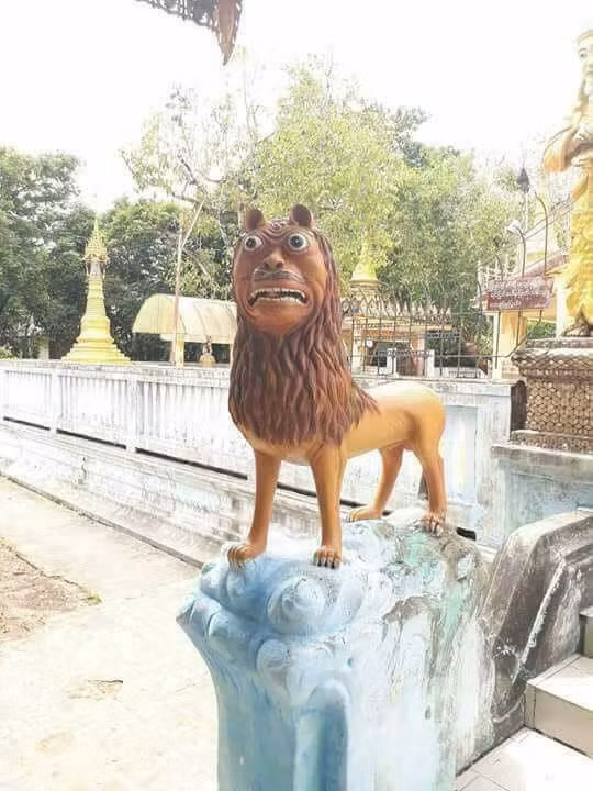 Sư tử có họ hàng xa với Pikalong hoặc chúng đang giảm cân đón Tết.