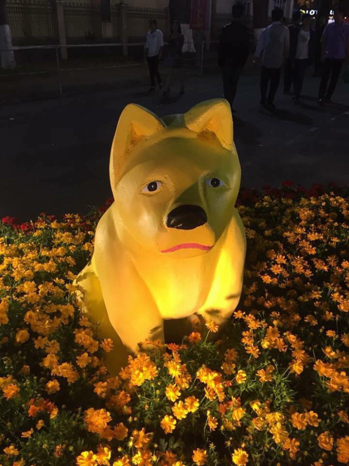 Gương mặt man mác buồn của "Cậu Vàng" khiến nhiều cư dân mạng liên tưởng đến chuyện mất sổ gạo.