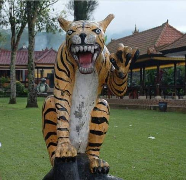 Linh vật năm Nhâm Dần này có biểu cảm khá hài hước, khác xa với nhiều người tưởng tượng.