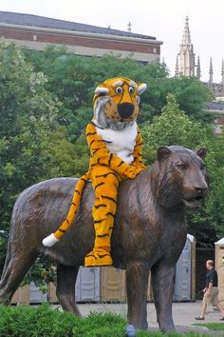 Còn đâu đó ở một nơi khác, chúa tể sơn lâm dường như đang nhớ rừng nên hơi buồn. Ảnh: Tổng hợp