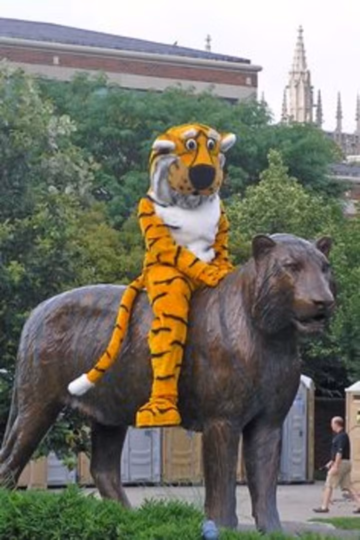 Còn đâu đó ở một nơi khác, chúa tể sơn lâm dường như đang nhớ rừng nên hơi buồn. Ảnh: Tổng hợp