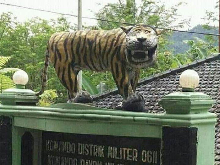 Mỗi con linh vật mang một dáng vẻ, hình tượng, màu sắc khác nhau, đều là "hàng độc", không con nào trùng nhau.