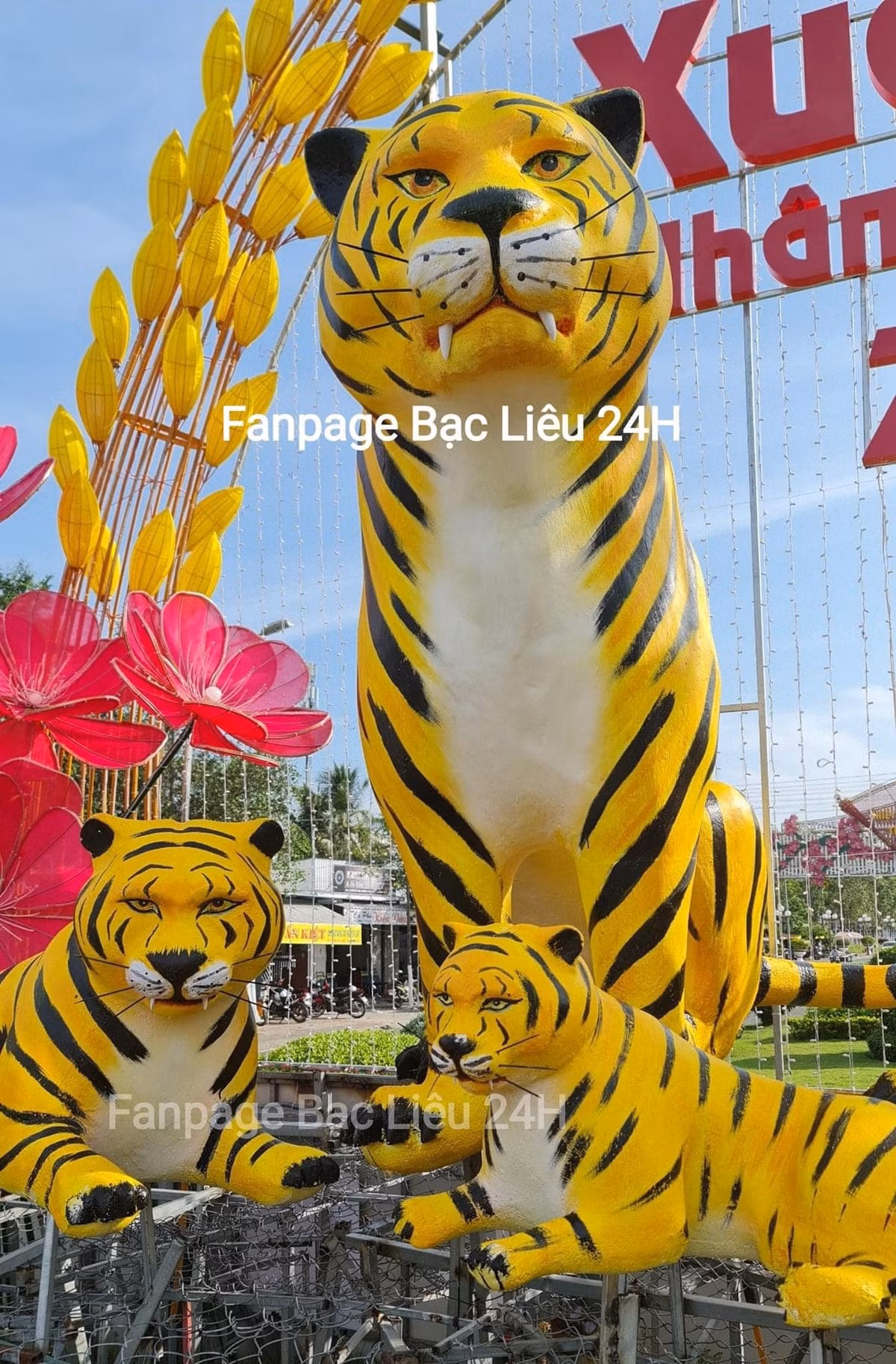 Ở phần bình luận, cư dân mạng để lại hàng loạt ý kiến về gia đình linh vật hổ của Tết Nhâm Dần 2022 của Bạc Liêu. Ảnh: Fanpage Bạc Liêu 24h