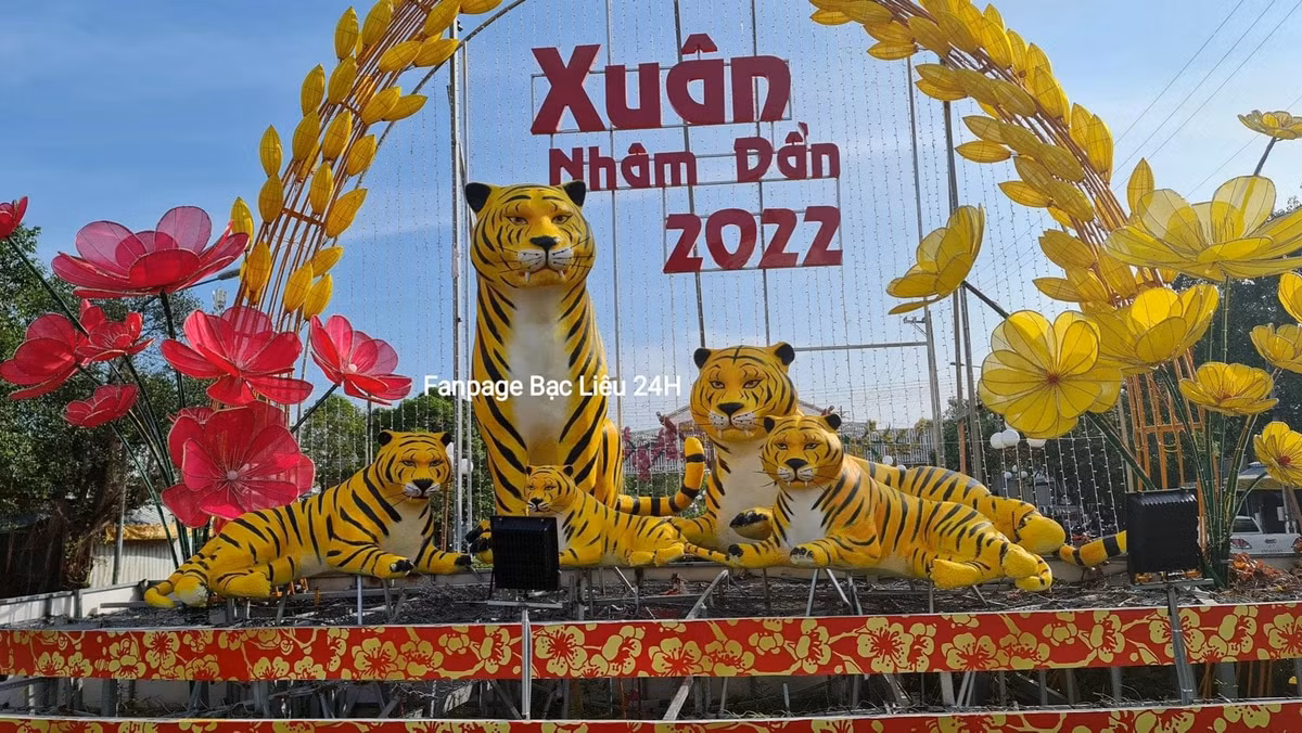 Cận cảnh cặp mắt và hai nanh của gia đình Hổ nhìn khá lạ, thu hút sự chú ý của cư dân mạng mấy ngày qua. Ảnh: Fanpage Bạc Liêu 24h