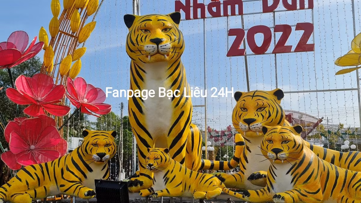 Dù đã được sửa lại nhưng những bức tượng Hổ này vẫn làm netizen bàn tán. Ảnh: Fanpage Bạc Liêu 24h