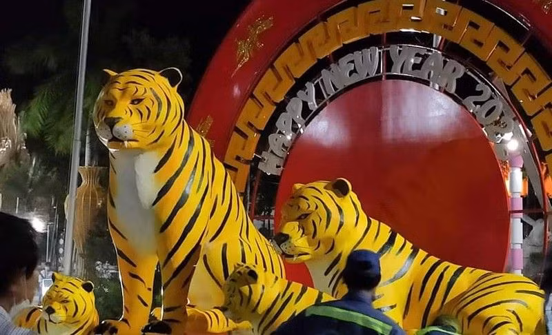 Hai “ông Hổ” được cho là có khuôn mặt “hờn cả thế giới". Ảnh: Nhật Hồ