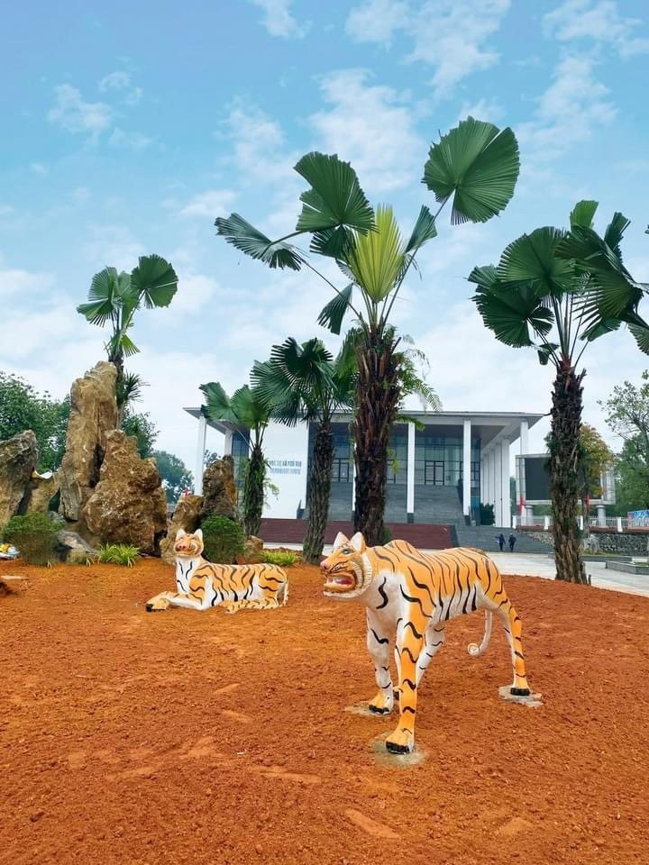 Tạo dáng của hổ trông khá gầy, các đường nét biểu cảm lại vẽ mỗi con 1 kiểu với các trạng thái cảm xúc khác nhau khiến netizen bất ngờ.