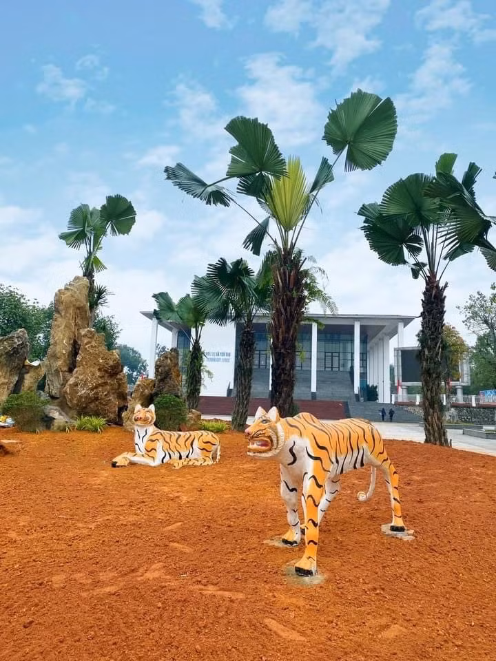 Tạo dáng của hổ trông khá gầy, các đường nét biểu cảm lại vẽ mỗi con 1 kiểu với các trạng thái cảm xúc khác nhau khiến netizen bất ngờ.