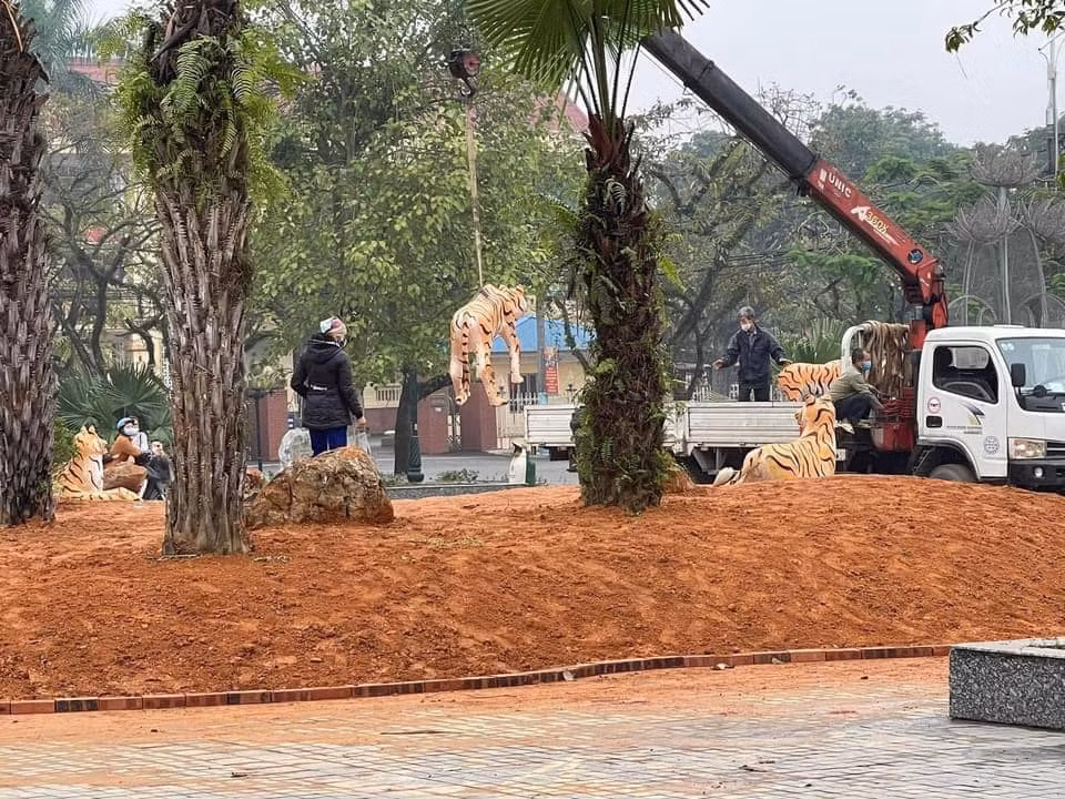 Sau khi gây xôn xao MXH, những linh vật hổ này đã được di chuyển, trong những bức ảnh được chia sẻ lên mạng cho biết, những bức tượng hổ đã được xe ô tô và cần cẩu để chở đi chỗ khác.