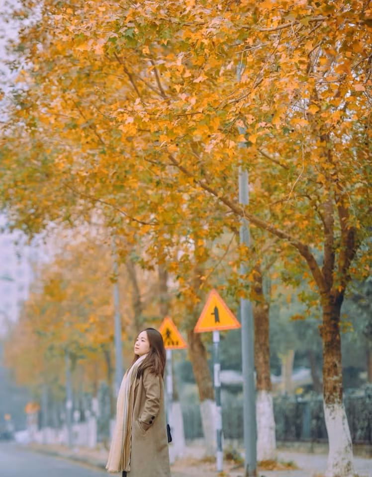 Giờ đây, không cần phải mất công đi xa lên vùng núi hay sang xứ người, ngay ở giữa Thủ đô cũng có một hàng phong đẹp mê mẩn để các bạn trẻ tha hồ "sống ảo".