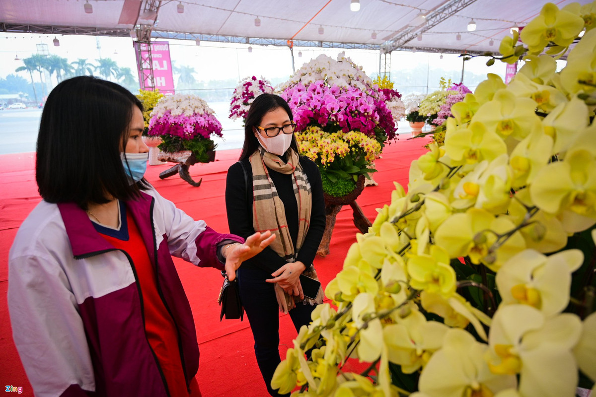 Tuy vậy, theo đánh giá của chị T, đây là loại hoa khá đắt tiền, kén người mua, khách hàng chủ yếu là những gia đình khá giả hoặc doanh nghiệp lớn. "Những ai thực sự am hiểu về cây cảnh mới dám chi tiền cho những chậu hoa chục triệu đồng như thế này", chị nói.