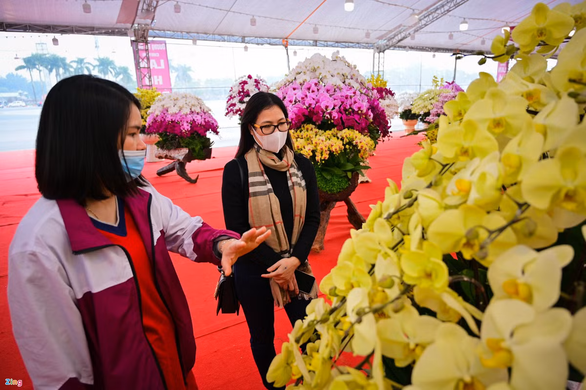 Tuy vậy, theo đánh giá của chị T, đây là loại hoa khá đắt tiền, kén người mua, khách hàng chủ yếu là những gia đình khá giả hoặc doanh nghiệp lớn. "Những ai thực sự am hiểu về cây cảnh mới dám chi tiền cho những chậu hoa chục triệu đồng như thế này", chị nói.