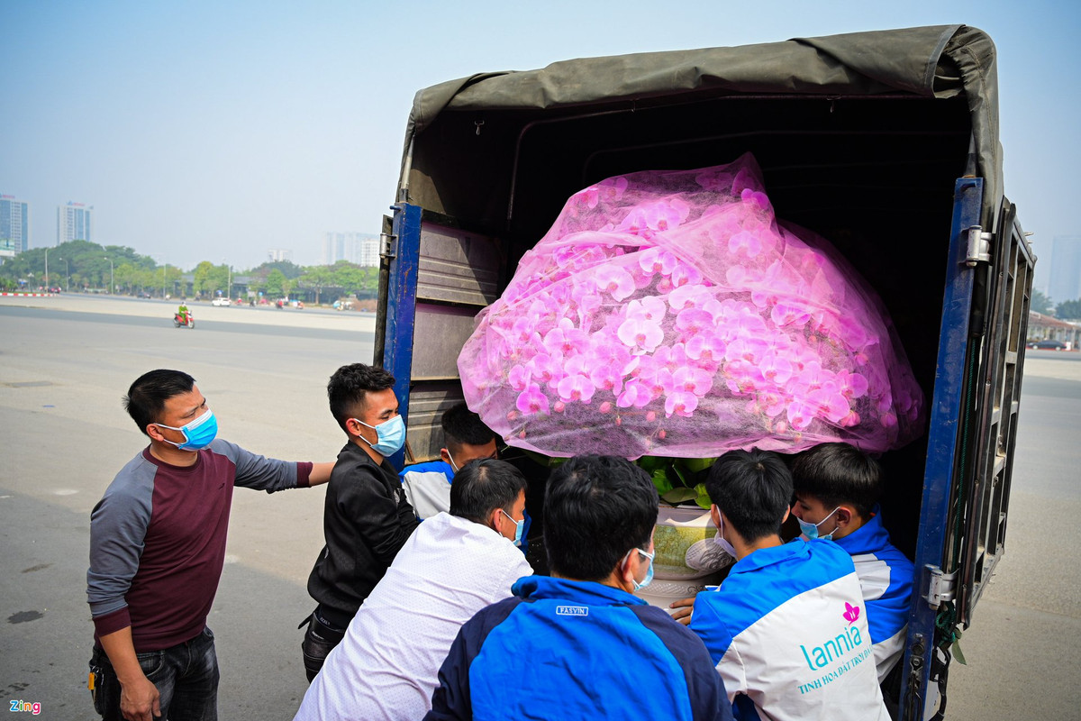 Chậu hoa này có giá 60 triệu đồng được đặt bởi một khách hàng ở thành phố Hoà Bình. Chi phí vận chuyển được tính theo số km tương ứng và người mua phải chịu hoàn toàn.