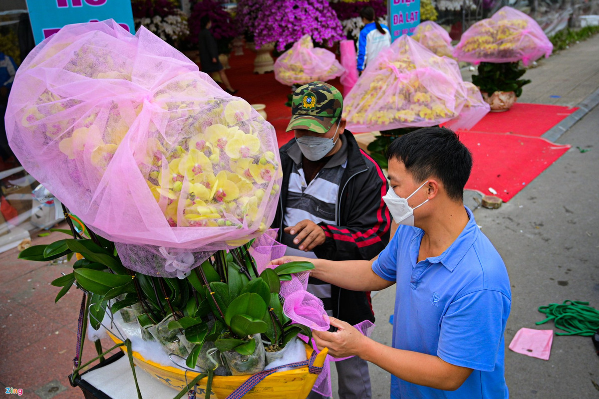 Khung cảnh tấp nập vận chuyển trong những ngày đầu mở bán. Hoa được bảo quản cẩn thận bằng cách bọc túi lưới, phần chậu được cố định bởi dây thừng đảm bảo quá trình vận chuyển an toàn. Xe máy được sử dụng để vận chuyển cho những khách hàng trong khu vực nội đô.