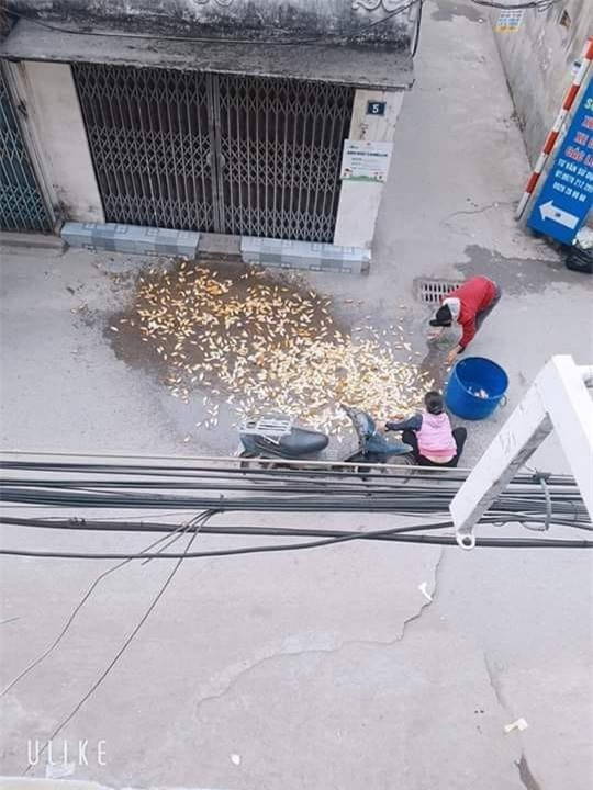 Hoan canh eo le cua chu ca chep ngay tien ong Cong ong Tao