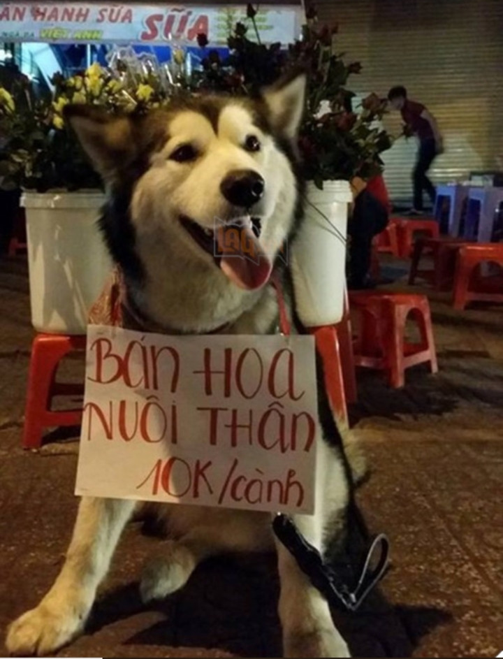 Trên MXH từng xuất hiện tấm biển quảng cáo vô cùng "bá đạo", đặc biệt là cách chỉ dẫn, mời gọi của nội dung tấm biển đã nhanh chóng thu hút sự chú ý của người đi đường.