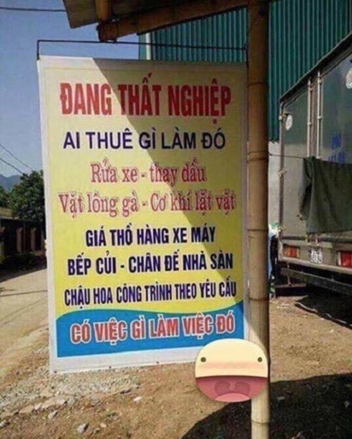 "Đa zi năng" thế này mà vẫn đang thất nghiệp sao?