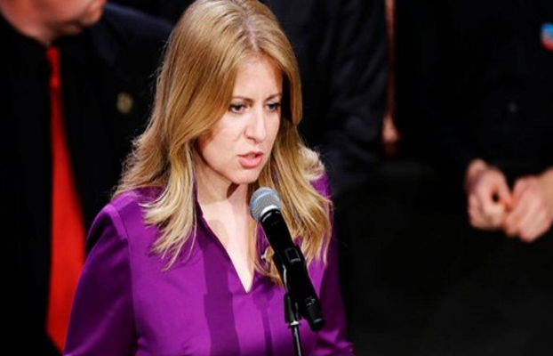 Từ năm 2001 đến 2017, bà Caputova làm việc với Via Iuris, một tổ chức dân sự. Từ năm 2010, bà làm luật sư và điều hành một công ty luật riêng của mình. Ảnh: HT.