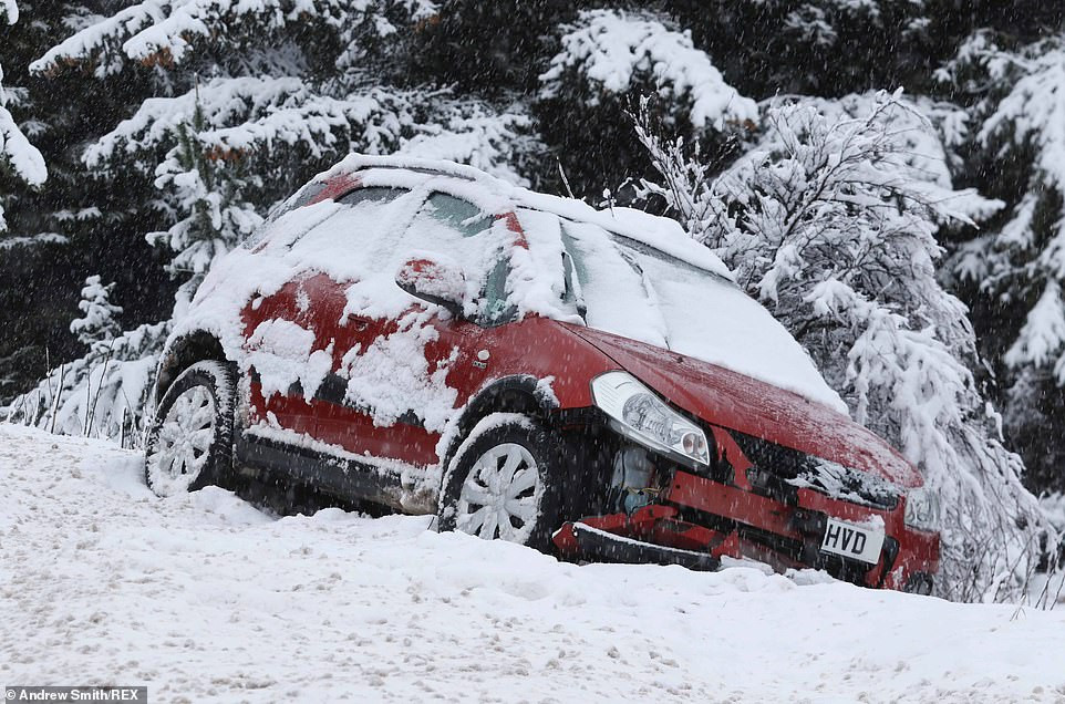 Kinh ngac tuyet phu trang nuoc Anh vao mua xuan-Hinh-3