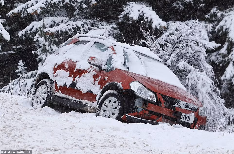 Kinh ngac tuyet phu trang nuoc Anh vao mua xuan-Hinh-3