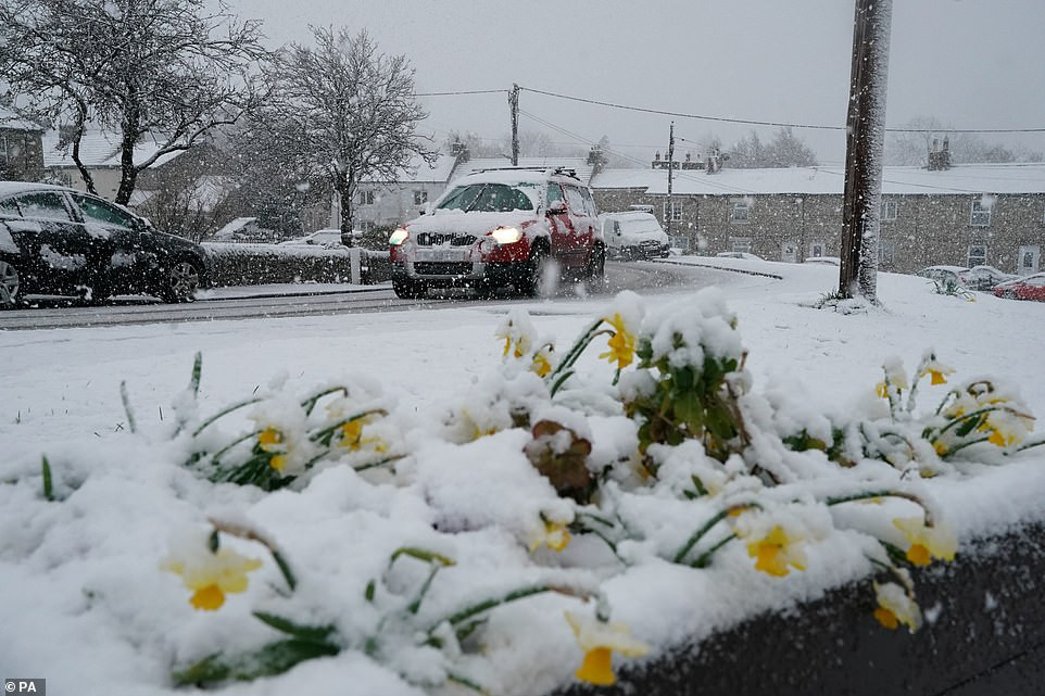 Kinh ngac tuyet phu trang nuoc Anh vao mua xuan-Hinh-5