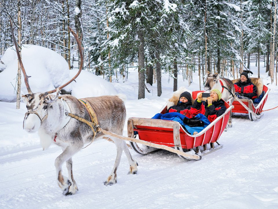 Đến với đất nước Phần Lan, du khách có cơ hội trải nghiệm cảm giác khi được ngồi trên xe tuần lộc.